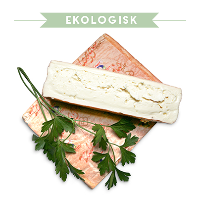 7701-Taleggio-EKO