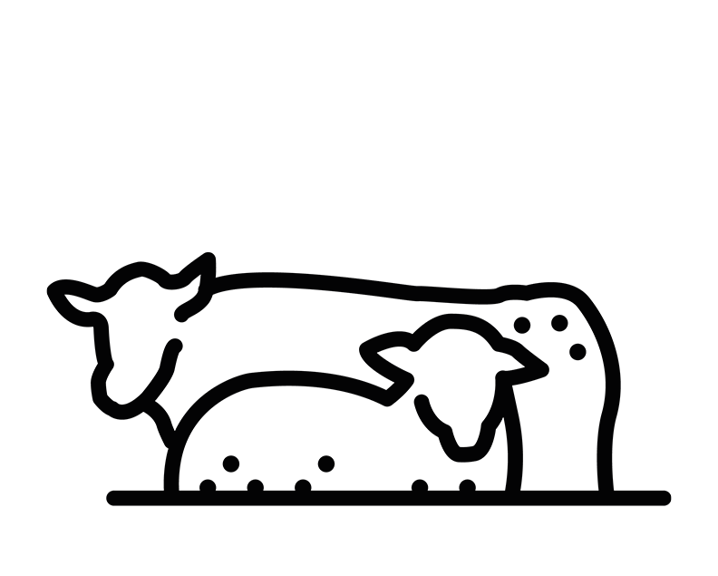 FårKo