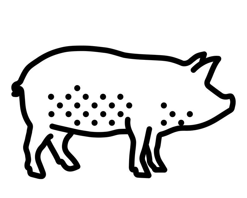 Fläskkött